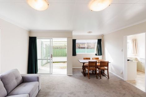 Photo of property in 495a1 Ferguson Street, Palmerston North, 4410