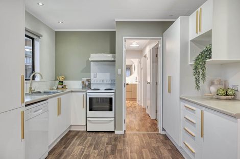 Photo of property in 80b Coopers Road, Gate Pa, Tauranga, 3112