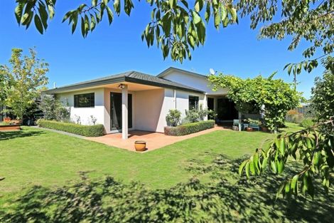 Photo of property in 60 Palmbrook Avenue, Havelock North, 4130