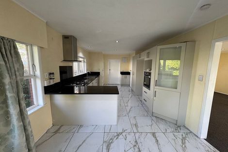 Photo of property in 119 Elliot Street, Pahurehure, Papakura, 2113