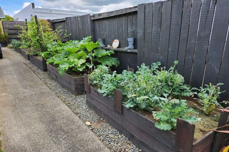 Photo of property in 20 Waimarei Avenue, Paeroa, 3600