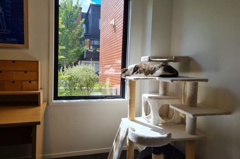 Photo of property in 216u9 Tristram Street, Hamilton Central, Hamilton, 3204