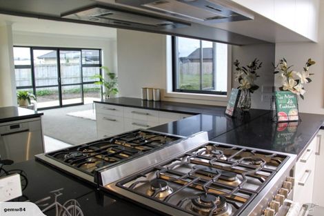 Photo of property in 19 Hoylake Place, Wattle Downs, Auckland, 2103