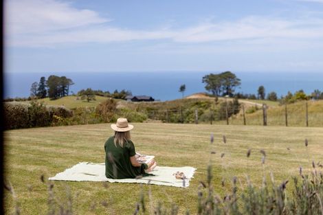 Photo of property in 227 Heard Road, Waihi, 3681