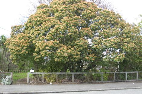 Photo of property in 95 Colombo Road, Masterton, 5810