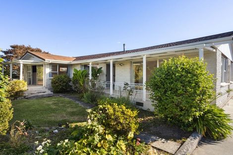 Photo of property in 3 Riccarton Place, Dinsdale, Hamilton, 3204