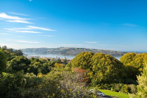 Photo of property in 21 Harcourt Street, Belleknowes, Dunedin, 9011