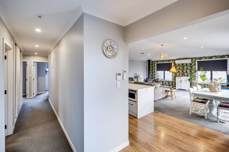 Photo of property in 513 Akina Street, Akina, Hastings, 4122