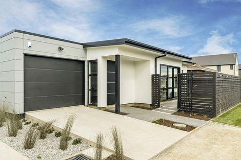 Photo of property in 1/68 Ward Street, Addington, Christchurch, 8024