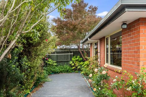 Photo of property in 19b Newcastle Street, Phillipstown, Christchurch, 8011