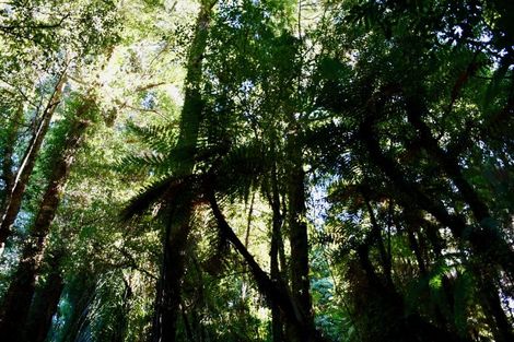 Photo of property in 70 Sunset Heights Road, Karamea, 7893