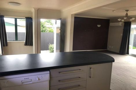 Photo of property in 213c Killarney Road, Frankton, Hamilton, 3204