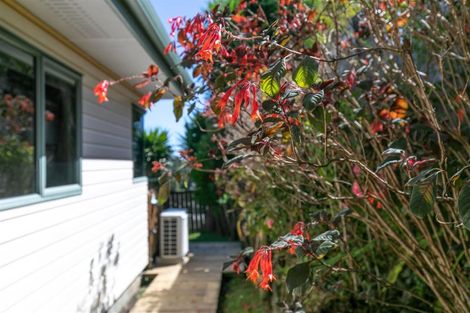 Photo of property in 127 Rayner Road, Huntly, 3700