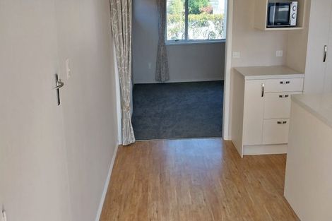 Photo of property in 22a Florence Street, Richmond, 7020