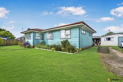 Photo of property in 12 Hinerau Street, Henderson, Auckland, 0612