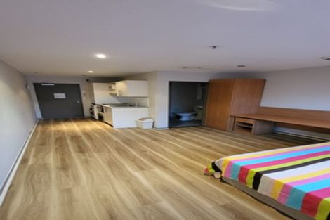 Photo of property in Dual Apartments, 108/142u Vivian Street, Te Aro, Wellington, 6011