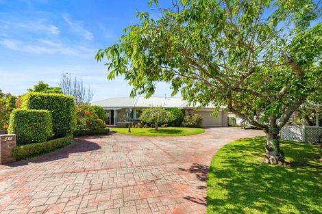 Photo of property in 41 Plateau Heights, Mount Maunganui, 3116