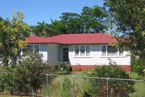 Photo of property in 17 Kuaka Place, New Lynn, Auckland, 0600