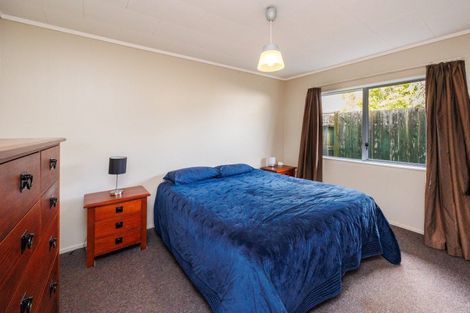 Photo of property in 107b Vogel Street, Roslyn, Palmerston North, 4414