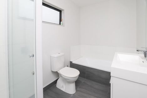 Photo of property in 195u5 Massey Street, Frankton, Hamilton, 3204