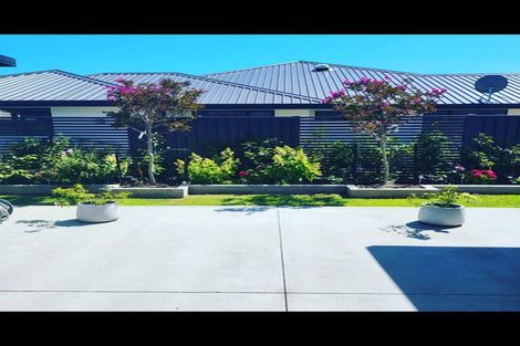 Photo of property in 16b Huntaway Close, Stoke, Nelson, 7011