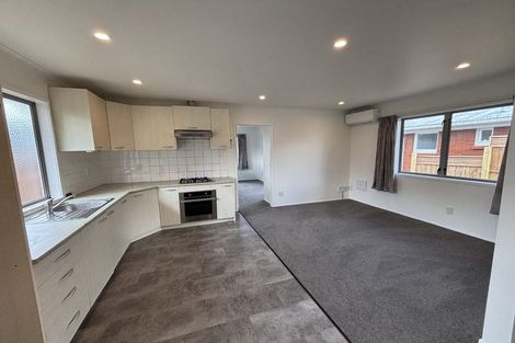 Photo of property in 18 Chelmsford Street, Silverdale, Hamilton, 3216