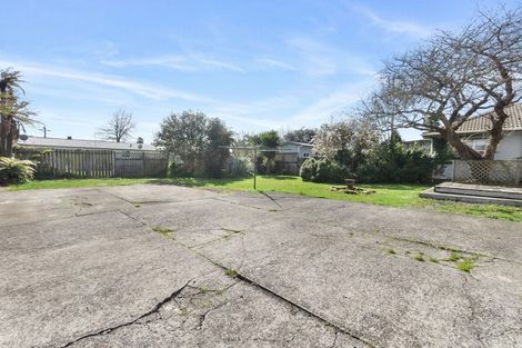 Photo of property in 17 Brown Street, Hamilton East, Hamilton, 3216