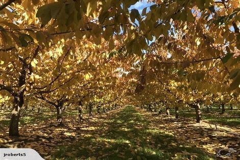 Photo of property in 66 Gladsmuir Road, Queensberry, Cromwell, 9383