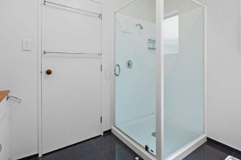 Photo of property in 28f1 Lawrence Street, Newtown, Wellington, 6021