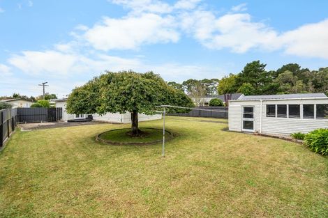 Photo of property in 41 Fitzroy Avenue, Fitzroy, Hamilton, 3206