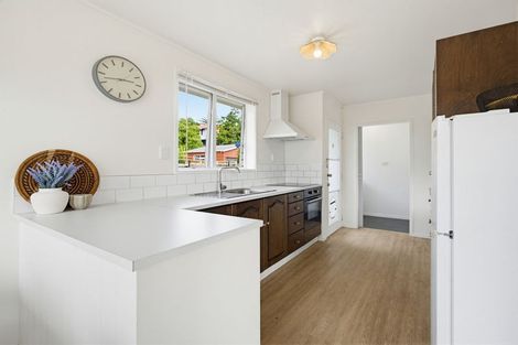 Photo of property in 17 Culverdon Street, Dinsdale, Hamilton, 3204