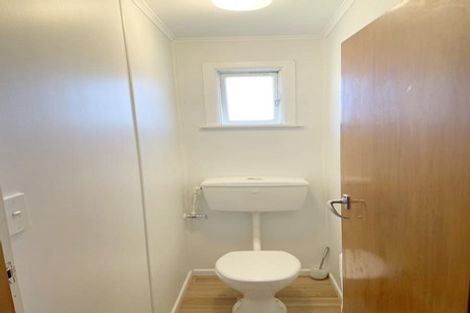 Photo of property in 43 Lynda Avenue, Paparangi, Wellington, 6037