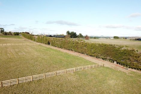 Photo of property in 310d Porangahau Road, Waipukurau, 4282