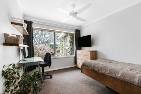 Photo of property in 109 Te Rahu Road, Poroporo, Whakatane, 3193