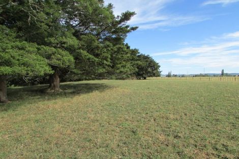 Photo of property in 58 Riddell Road, Waerenga, Te Kauwhata, 3781