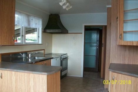 Photo of property in 54 Larnoch Road, Henderson, Auckland, 0610