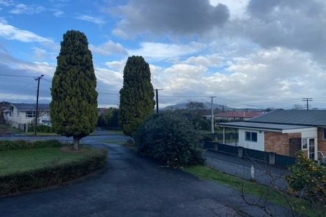 Photo of property in 342 Douglas Avenue, Te Awamutu, 3800