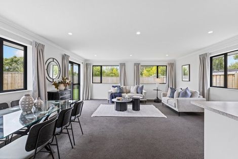 Photo of property in 55 Henshaw Street, Woodend, 7610