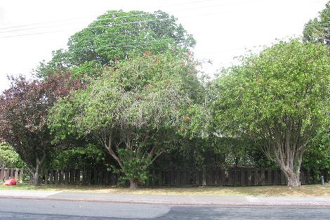 Photo of property in 1/78 Nile Road, Milford, Auckland, 0620