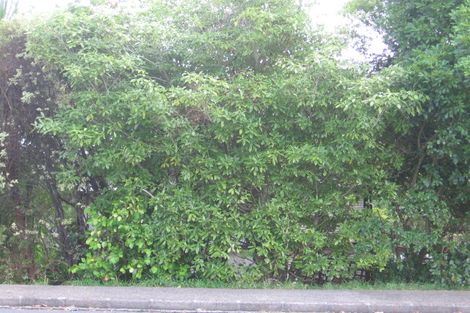 Photo of property in 156 Rathgar Road, Henderson, Auckland, 0610