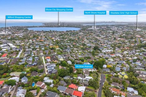 Photo of property in 6a Brian Avenue, Forrest Hill, Auckland, 0620