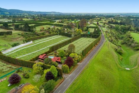 Photo of property in 706 No 1 Road, Te Puke, 3182