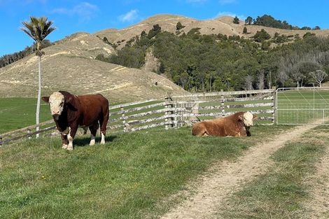 Photo of property in 130 Te Horo Hautere Cross Road, Hautere, Otaki, 5582