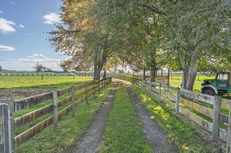Photo of property in 2634 Broadlands Road, Broadlands, Reporoa, 3081
