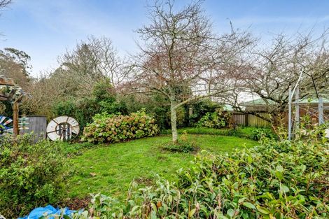 Photo of property in 48 Regan Street, Stratford, 4332