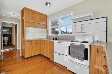 Photo of property in 14 Sholson Street, Putaruru, 3411