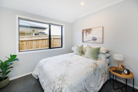 Photo of property in 43 Accolade Street, Feilding, 4702
