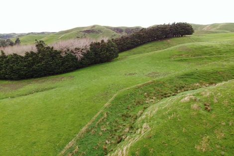 Photo of property in 130 Bowen Road, Eketahuna, 4994