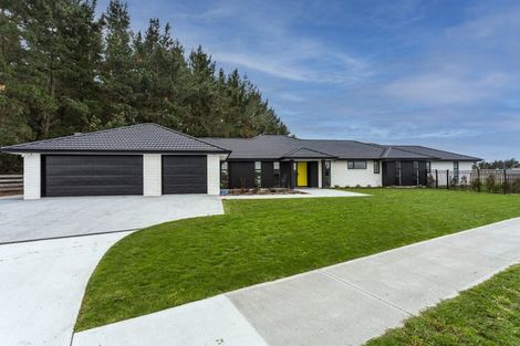 Photo of property in 26 Kingfisher Avenue, Amberley, 7410