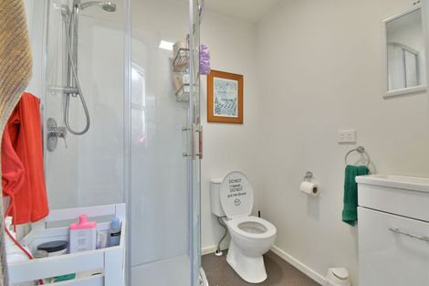 Photo of property in 26 Norfolk Street, Saint Clair, Dunedin, 9012